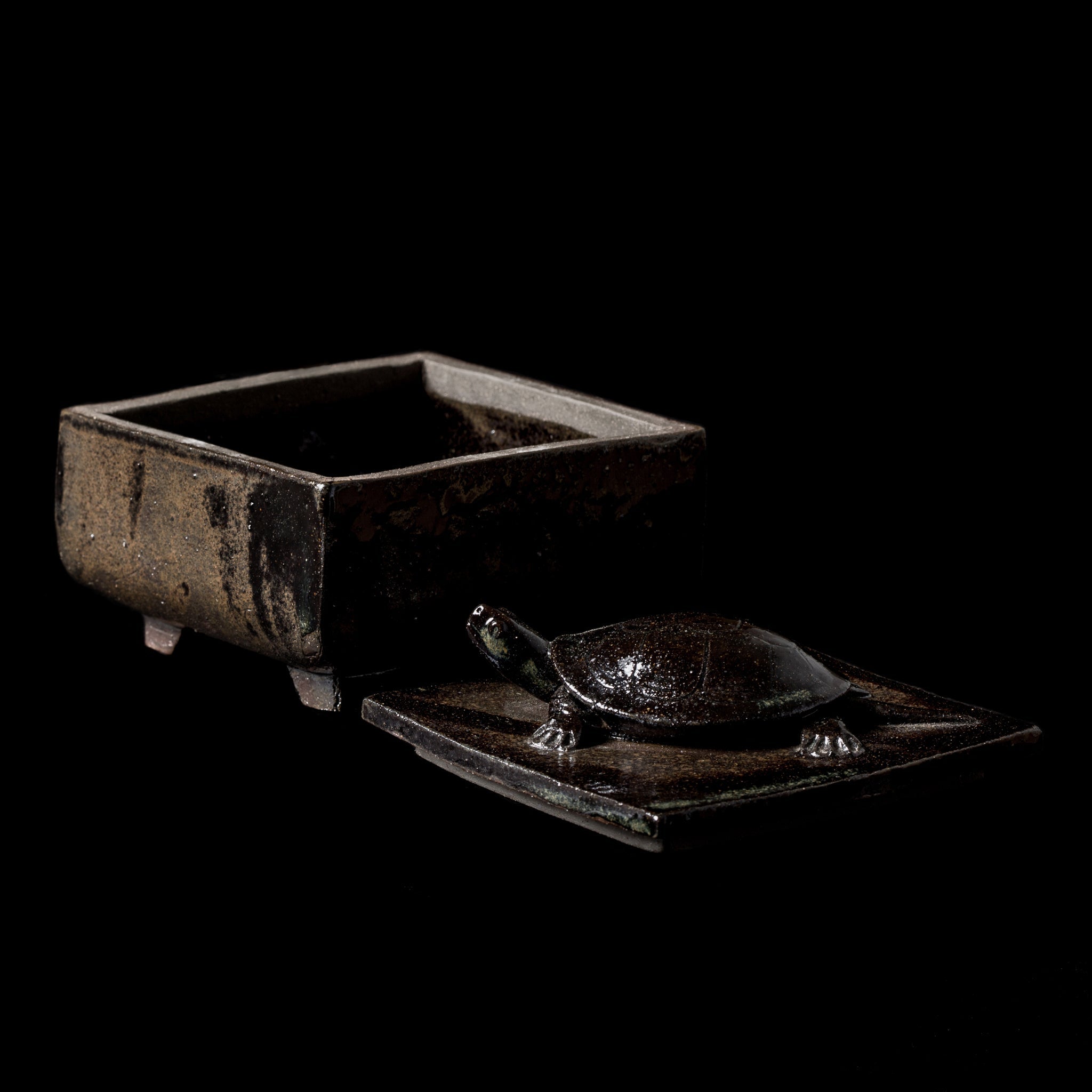Box With a Turtle No.25/24 - huba.studio