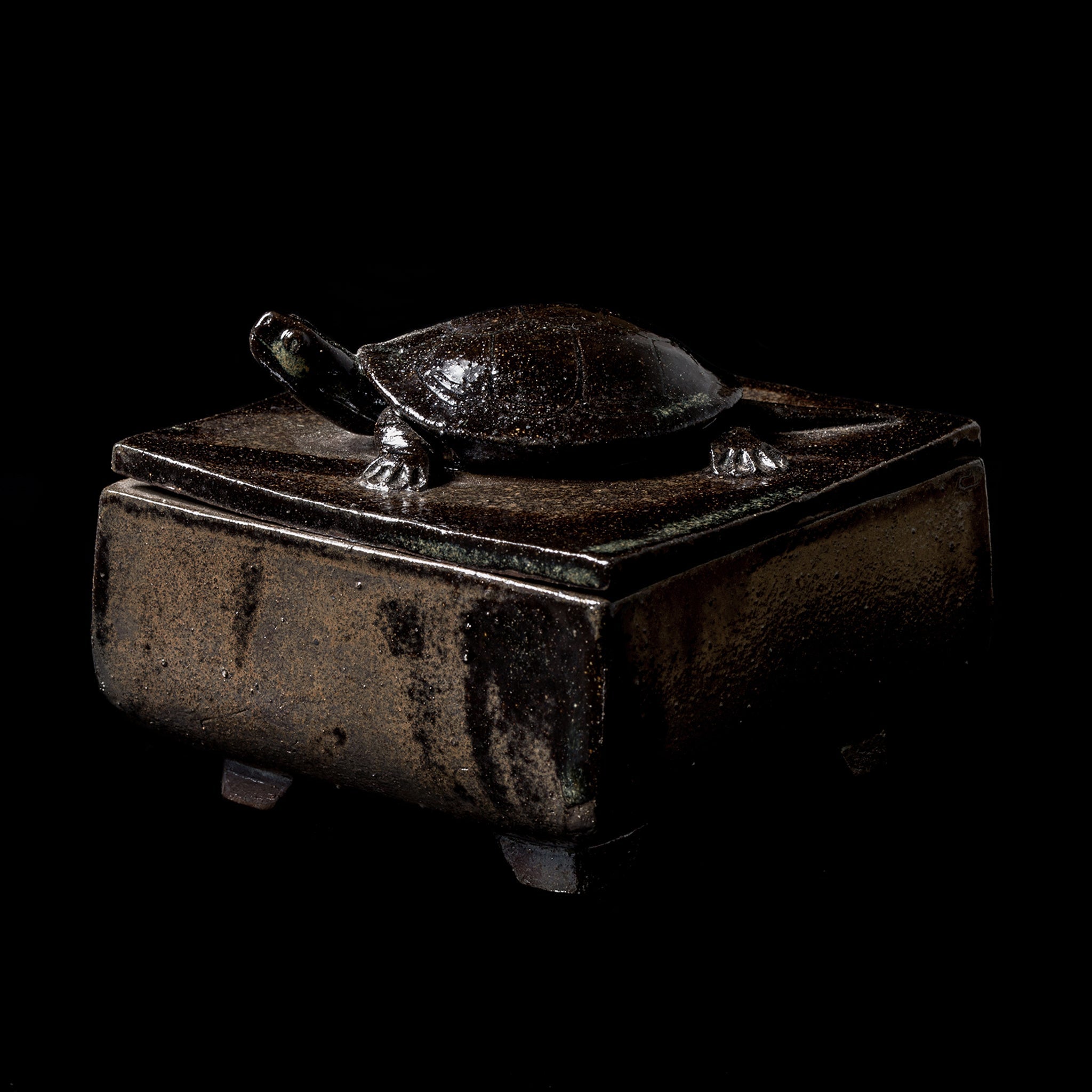 Box With a Turtle No.25/24 - huba.studio