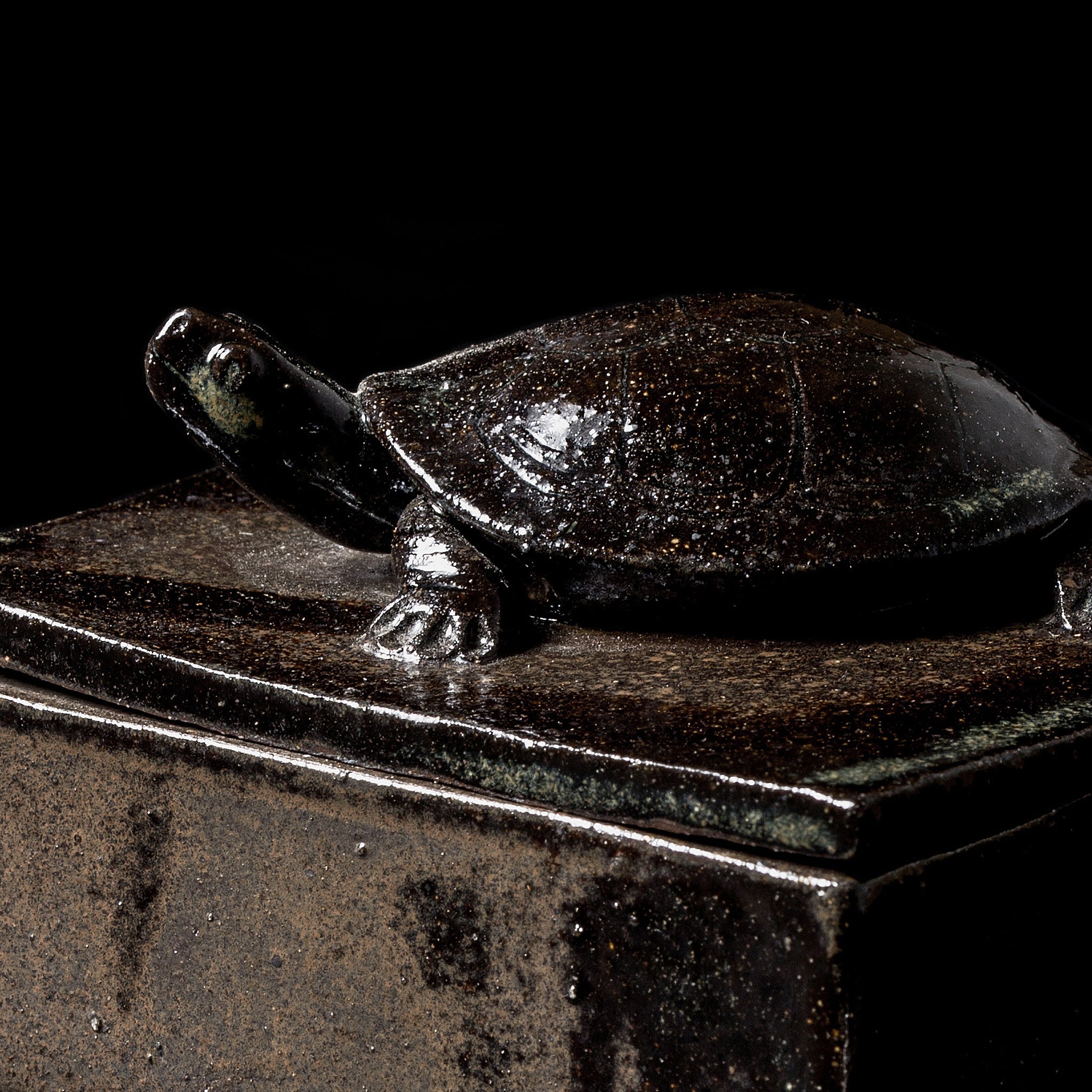Box With a Turtle No.25/24 - huba.studio