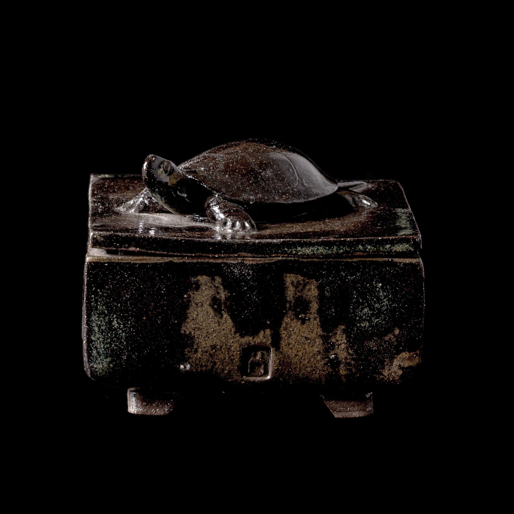 Box With a Turtle No.25/24 - huba.studio