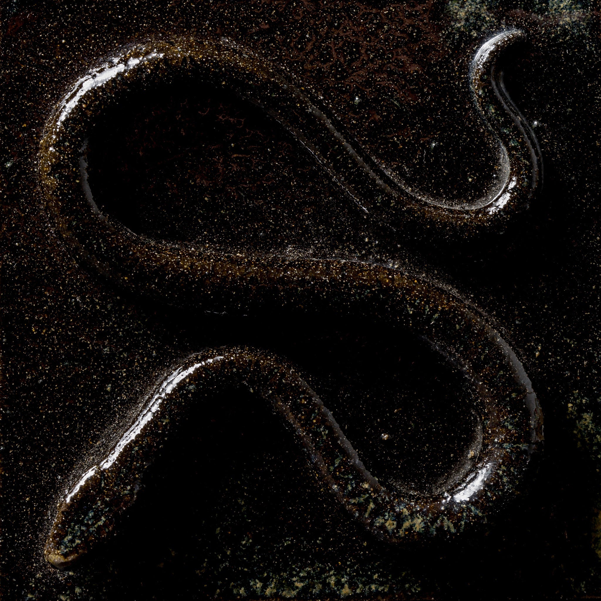 Box With a Viper No.24/24 - huba.studio