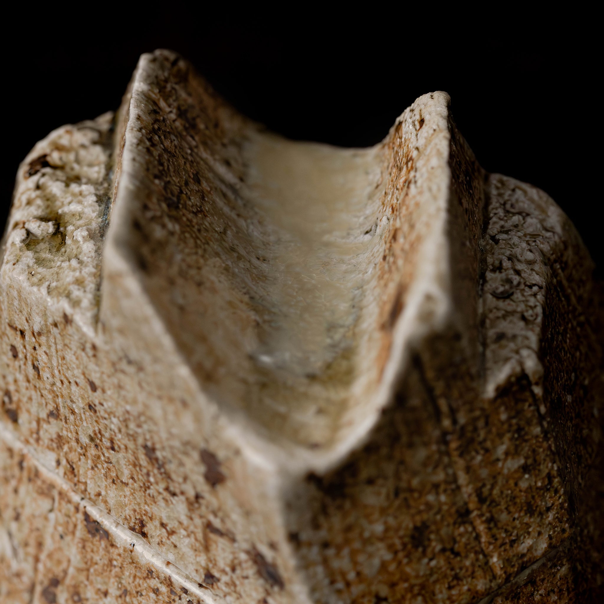 Kurinuki Box No.51/25 - huba.studio