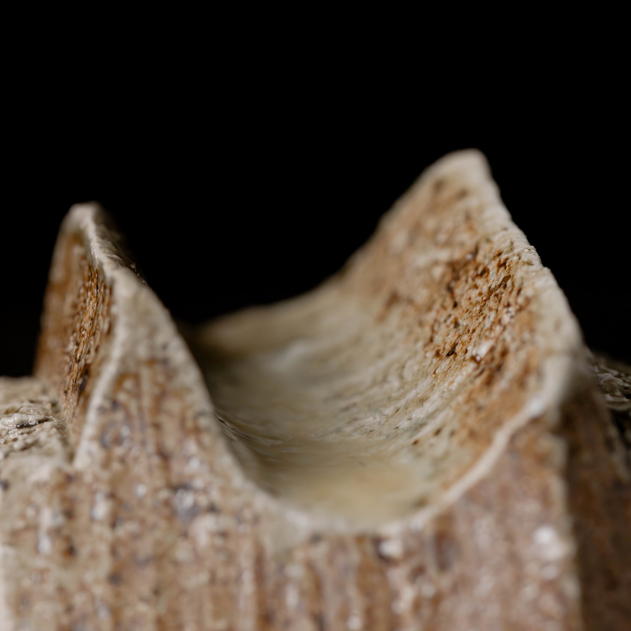 Kurinuki Box No.51/25 - huba.studio