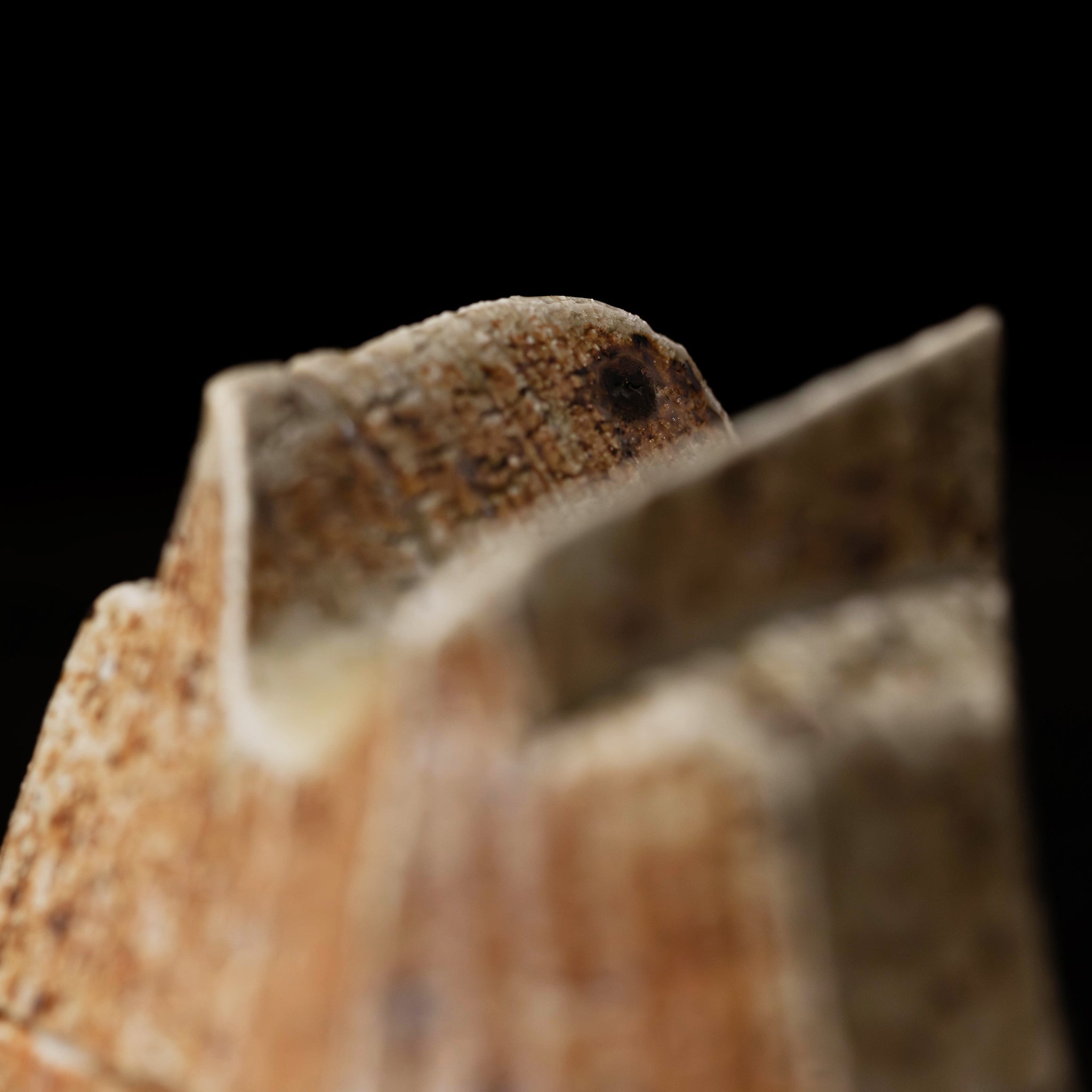 Kurinuki Box No.51/25 - huba.studio