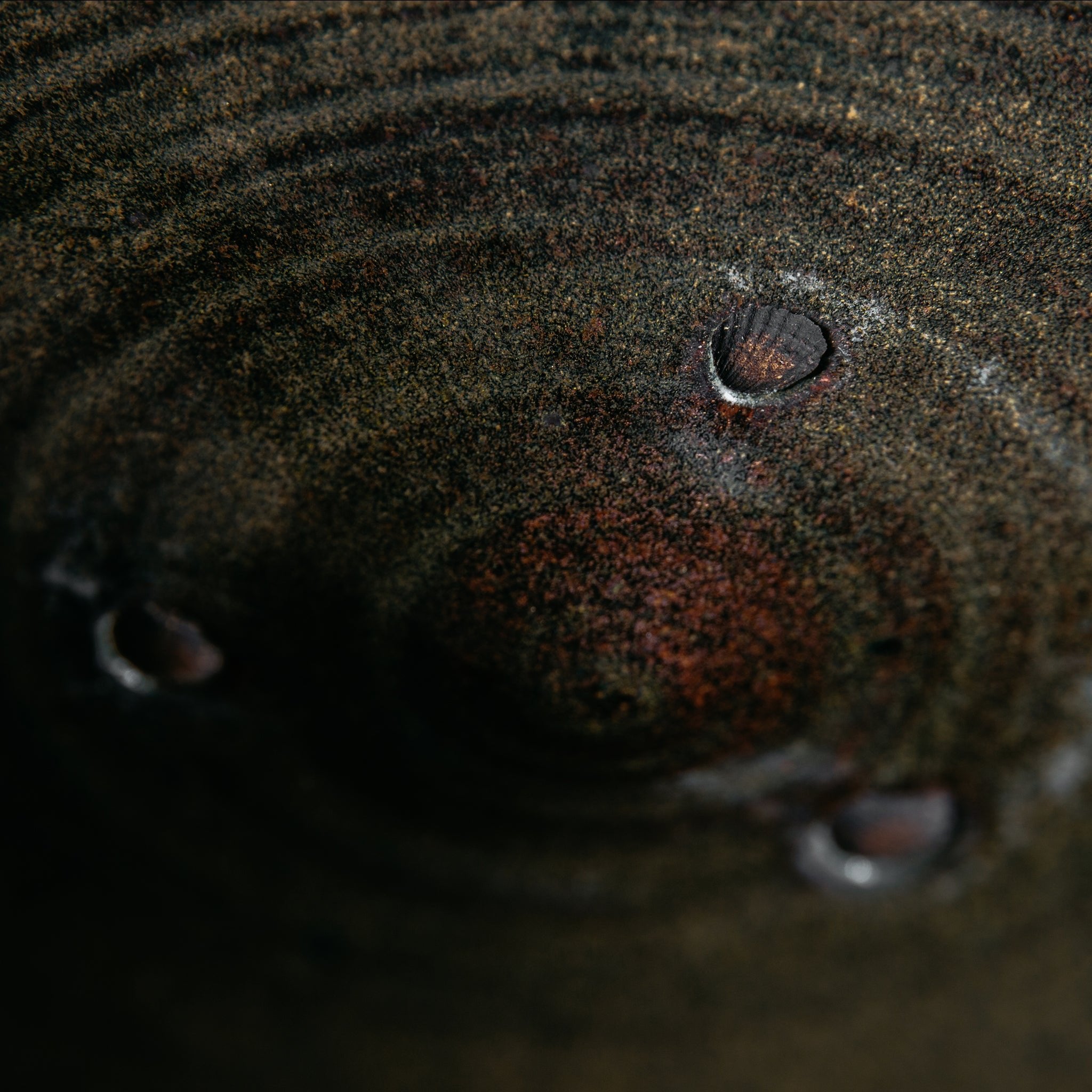 Wheel Thrown Large Bowl No.11/24 - huba.studio