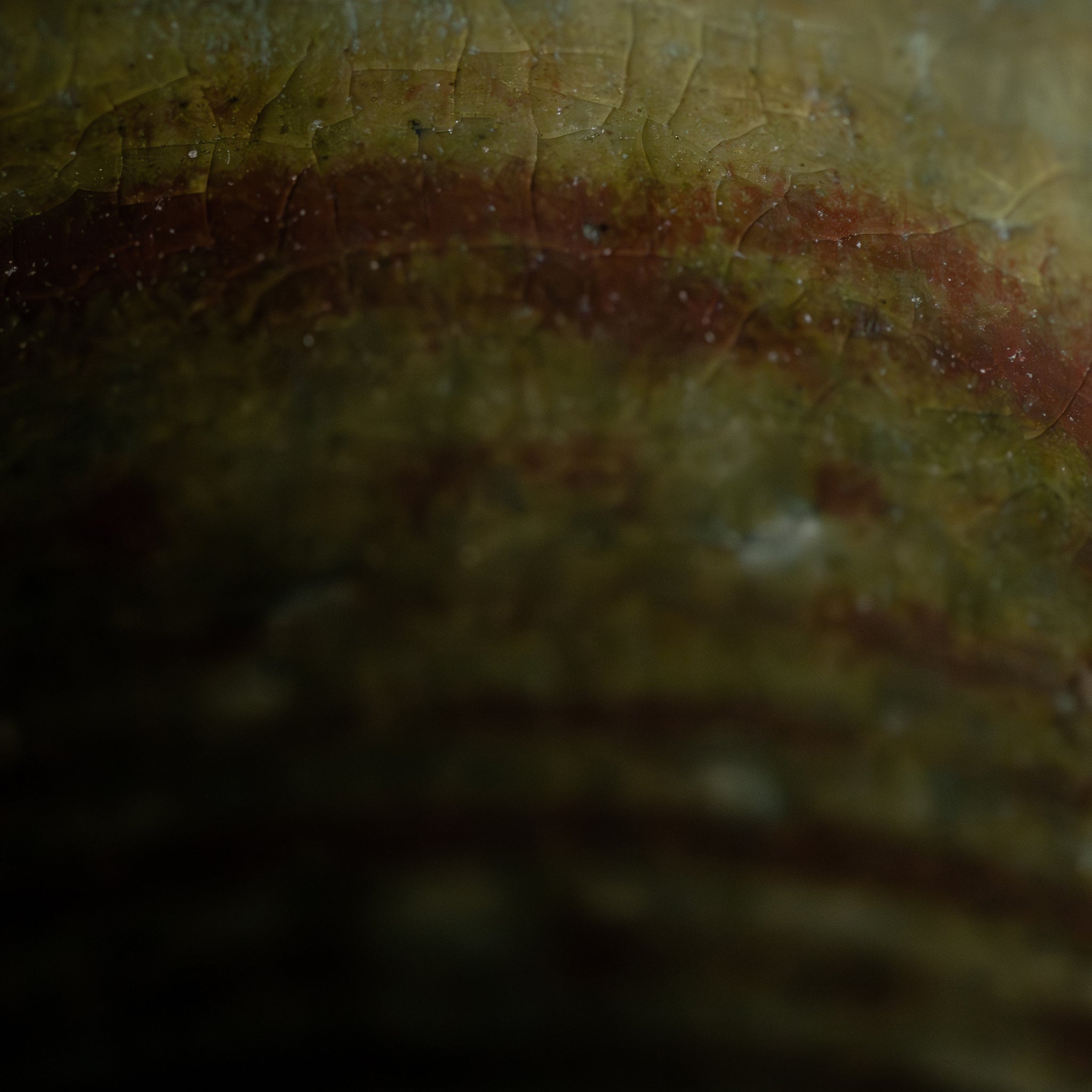 Wheel Thrown Mug No.5/25 - huba.studio