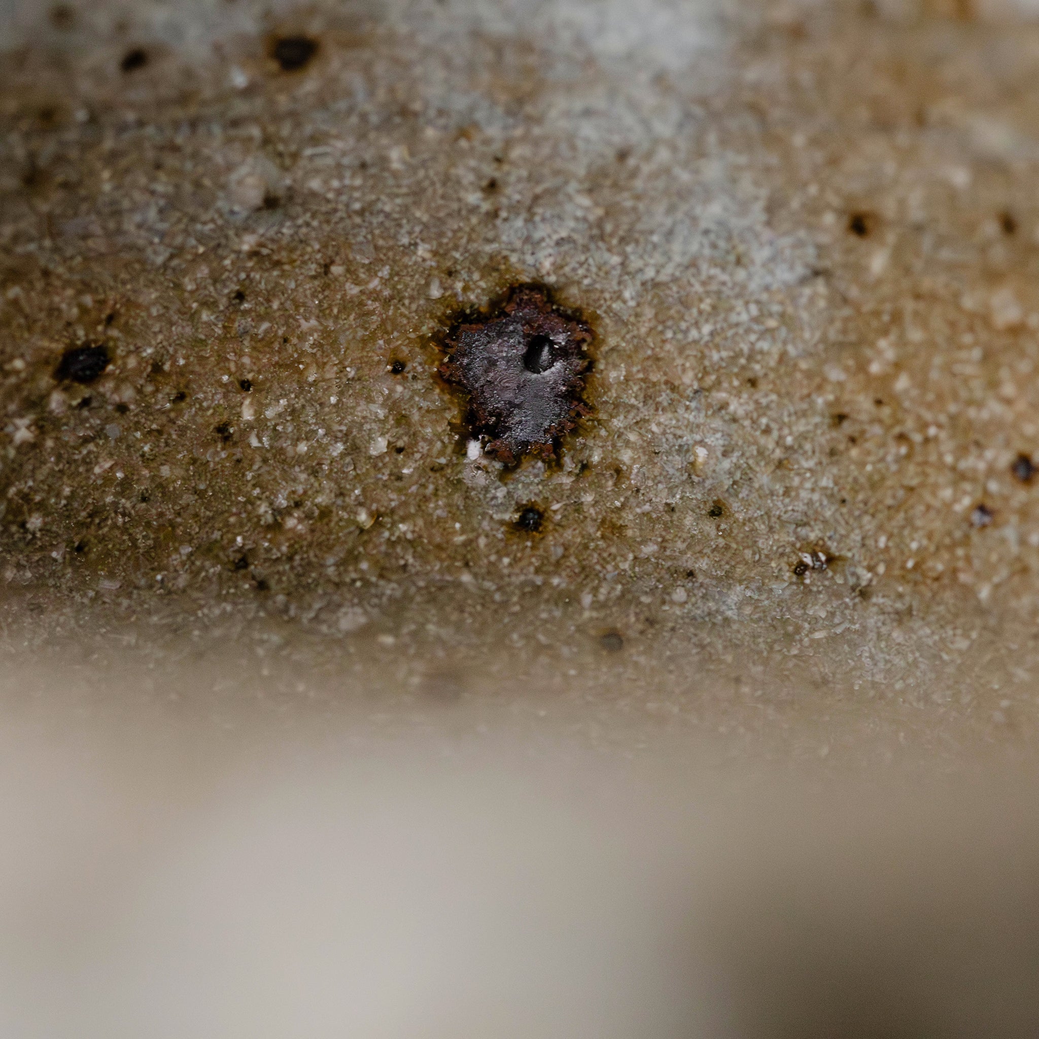 Wheel Thrown Mug No.57/25 - huba.studio