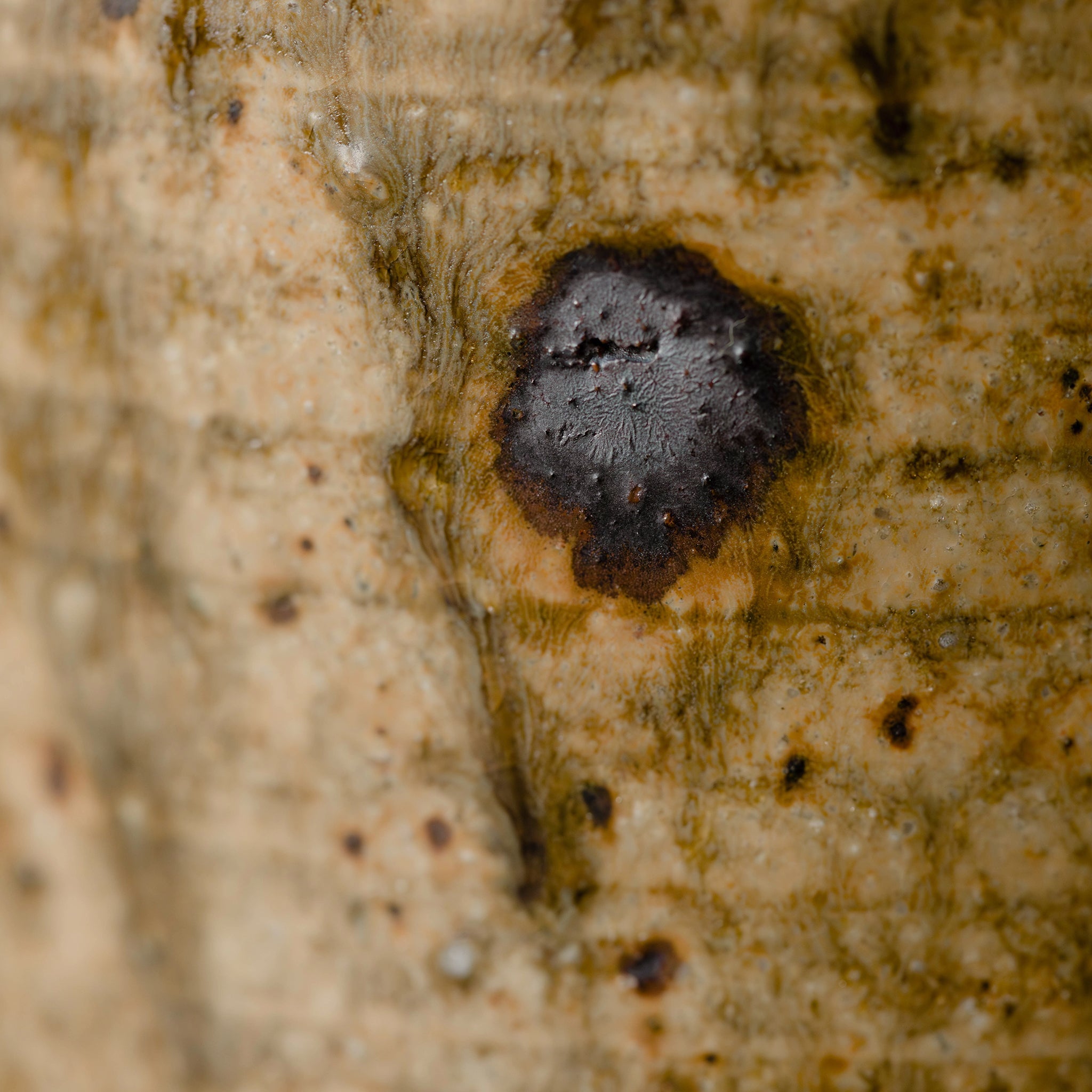 Wheel Thrown Mug No.59/25 - huba.studio