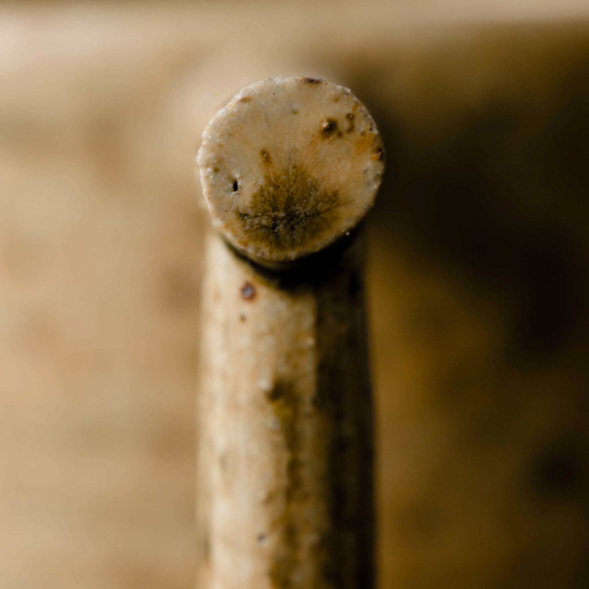 Wheel Thrown Mug No.59/25 - huba.studio