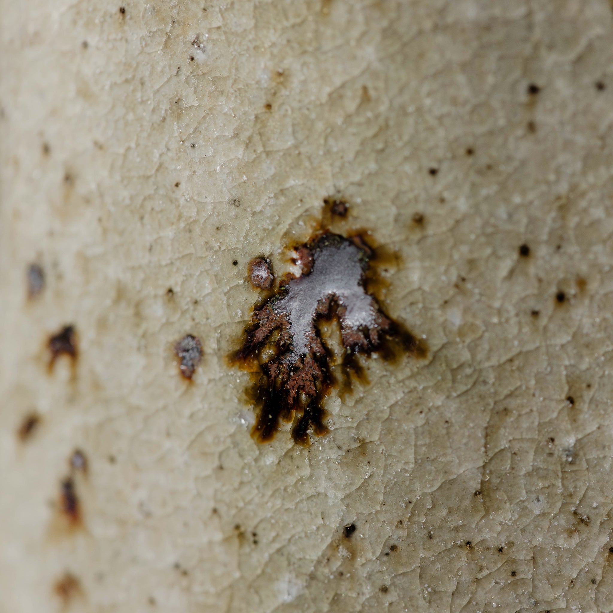 Wheel Thrown Mug No.64/25 - huba.studio