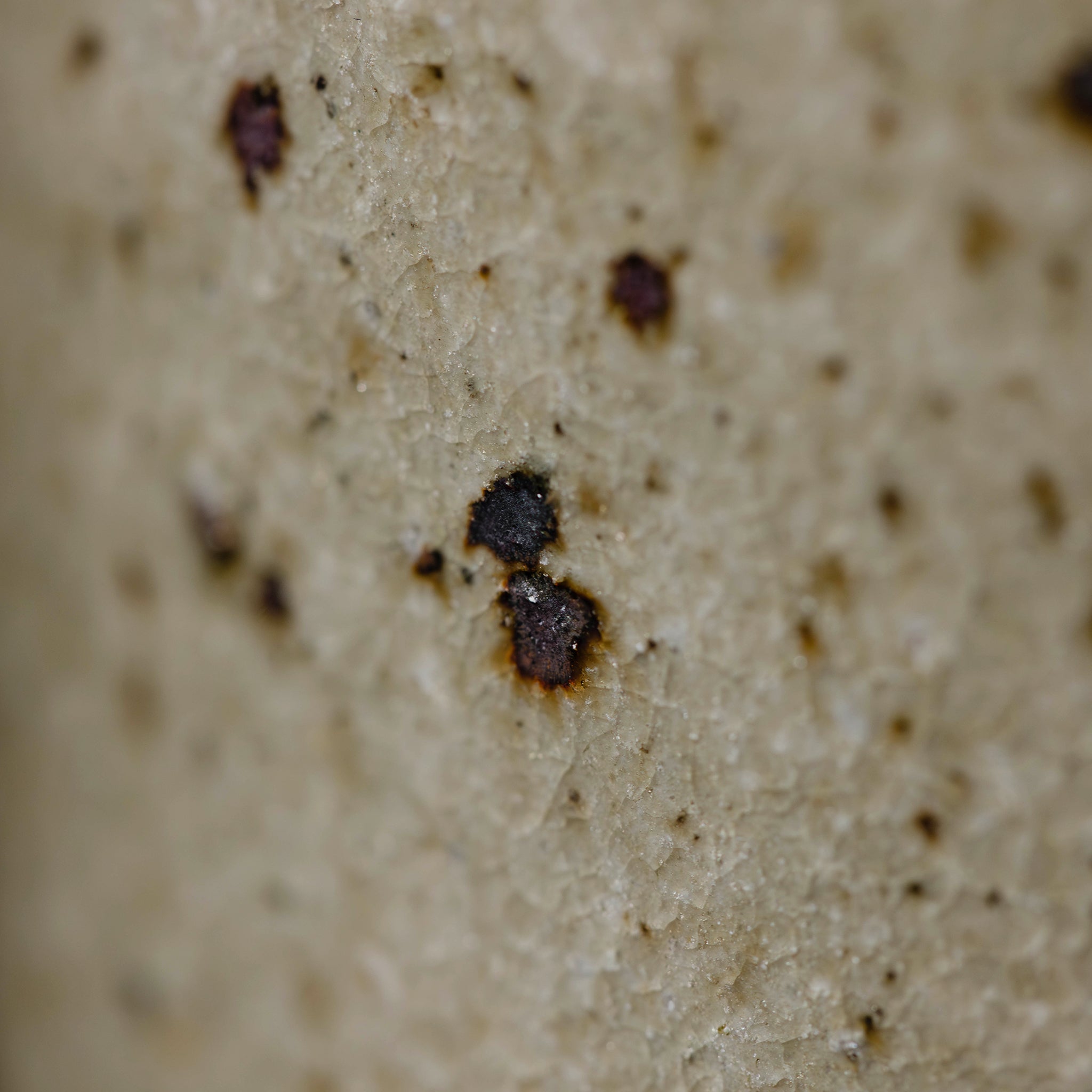 Wheel Thrown Mug No.65/25 - huba.studio