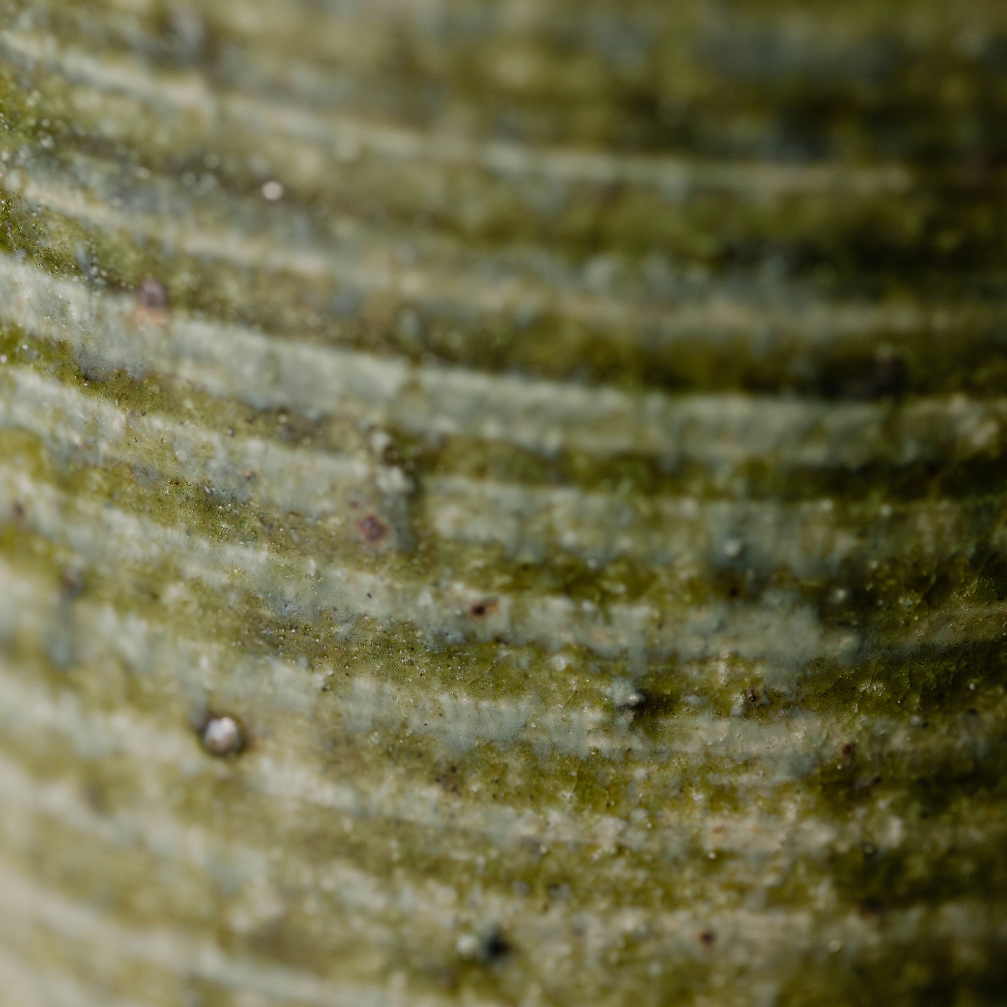 Wheel Thrown Mug No.76/25 - huba.studio