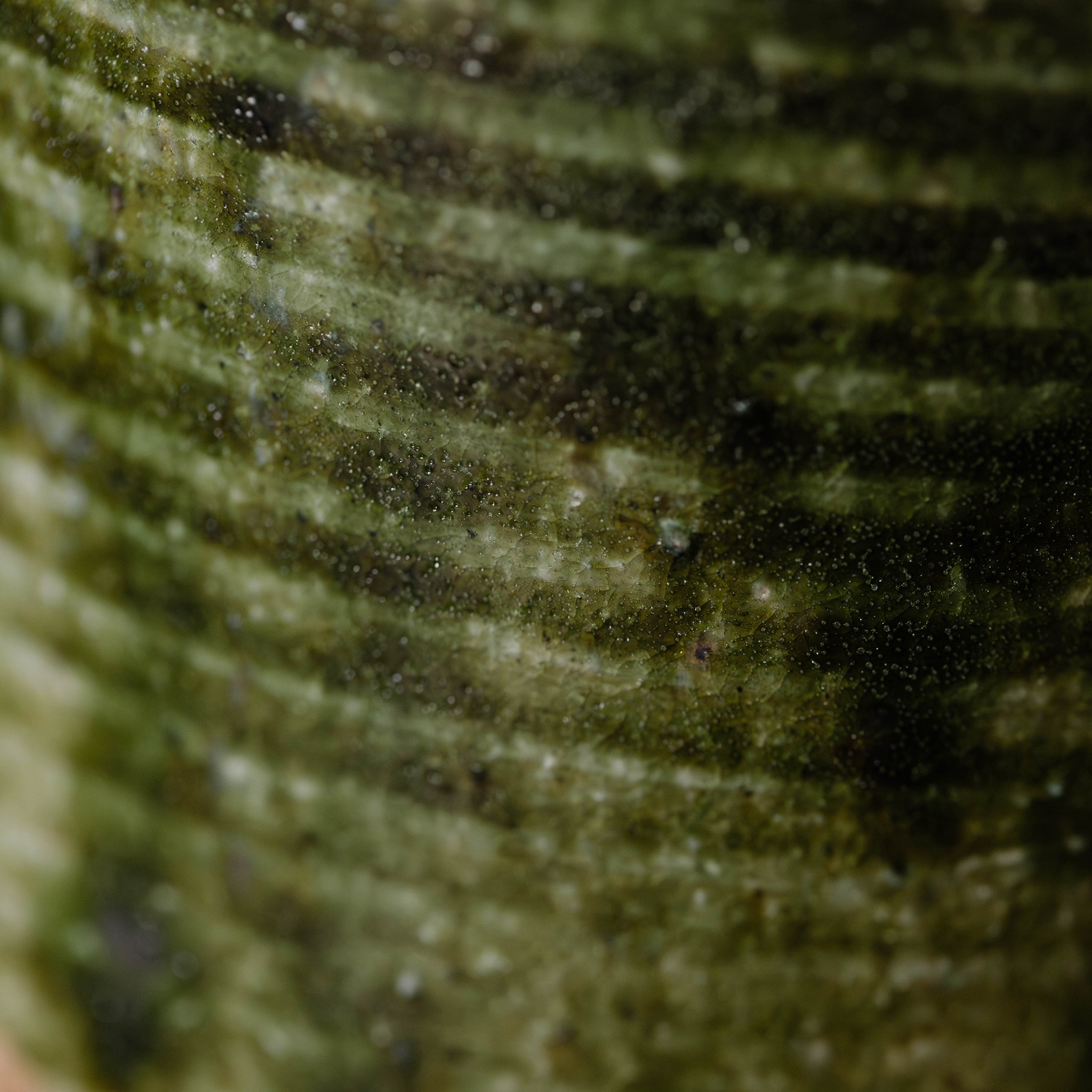 Wheel Thrown Mug No.76/25 - huba.studio