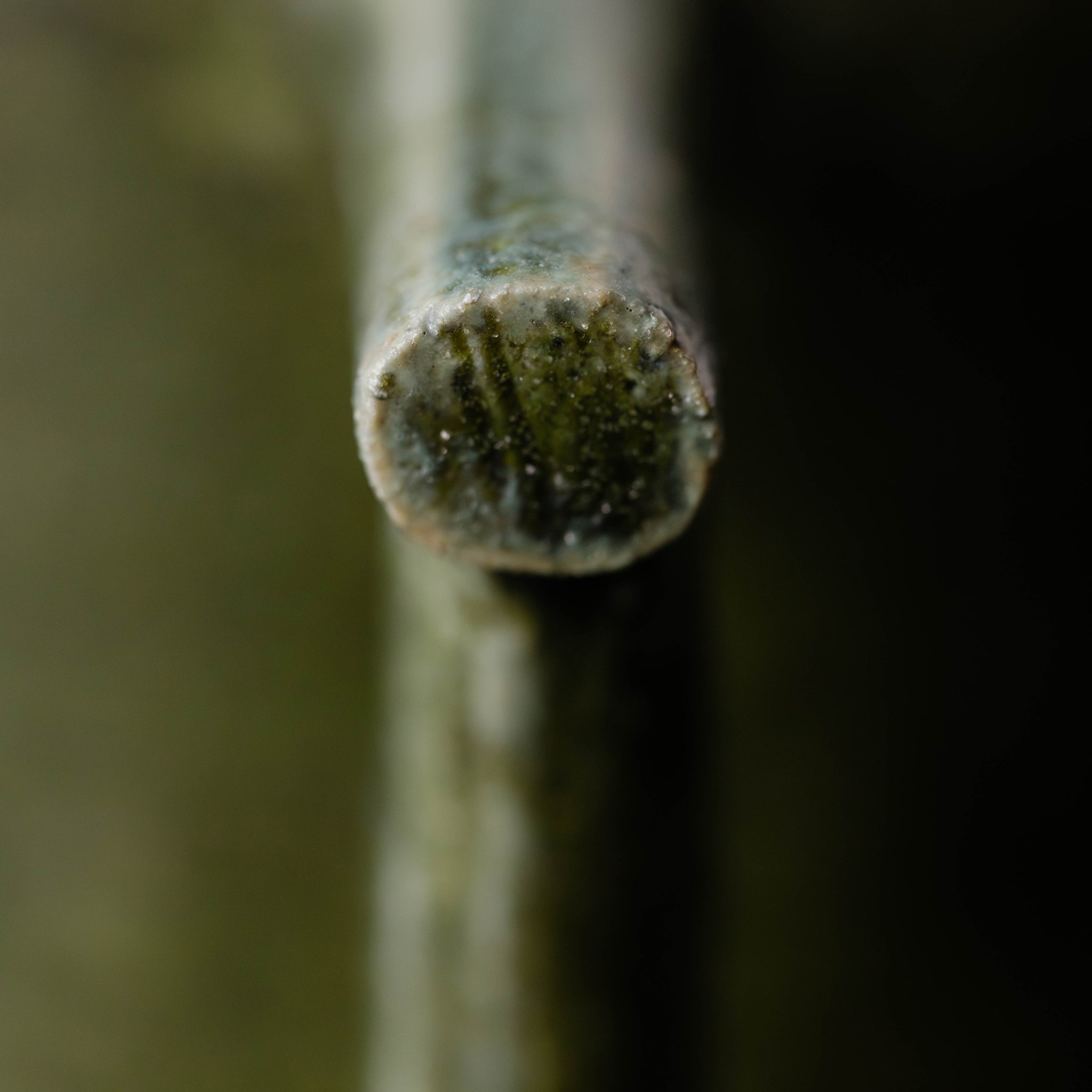 Wheel Thrown Mug No.77/25 - huba.studio