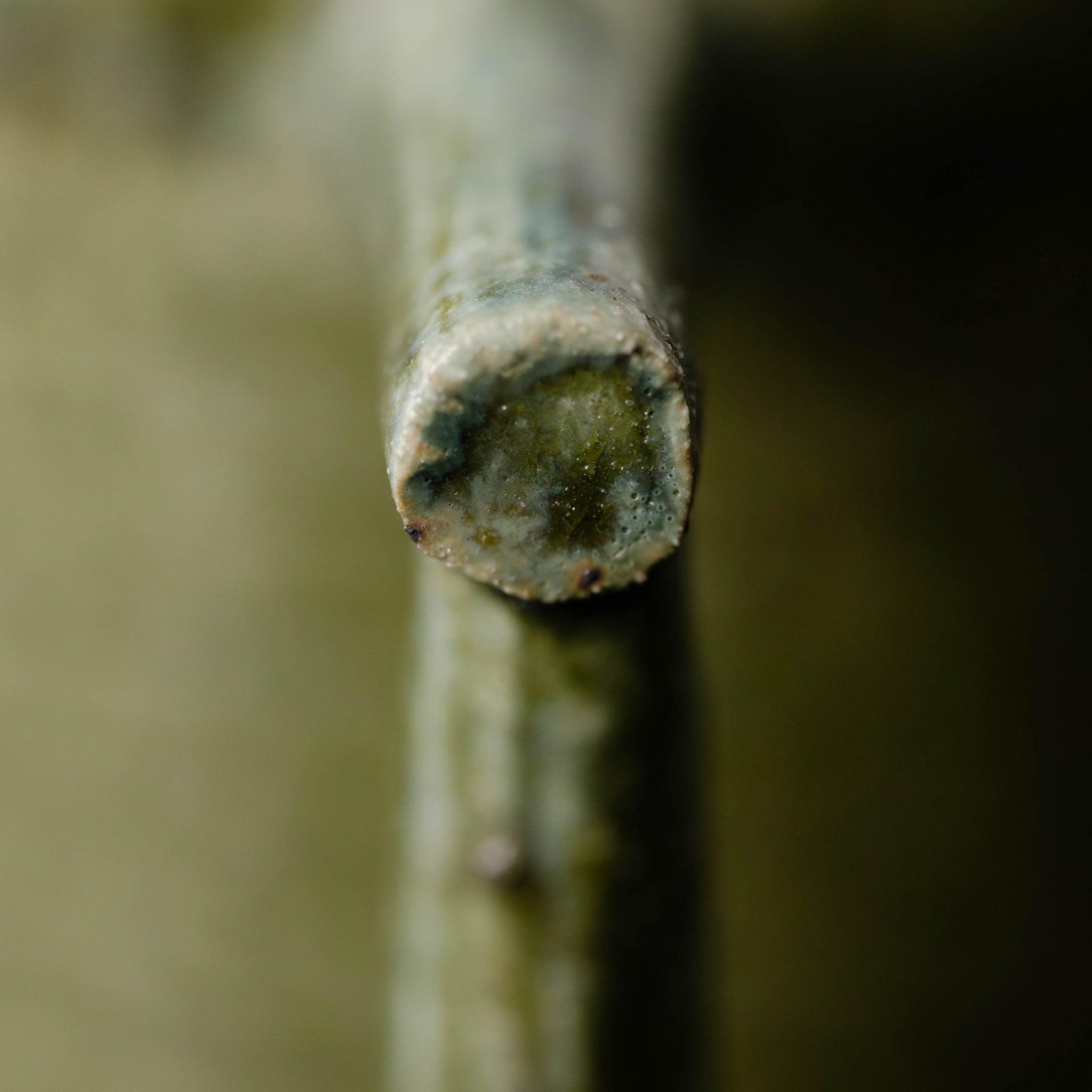 Wheel Thrown Mug No.79/25 - huba.studio