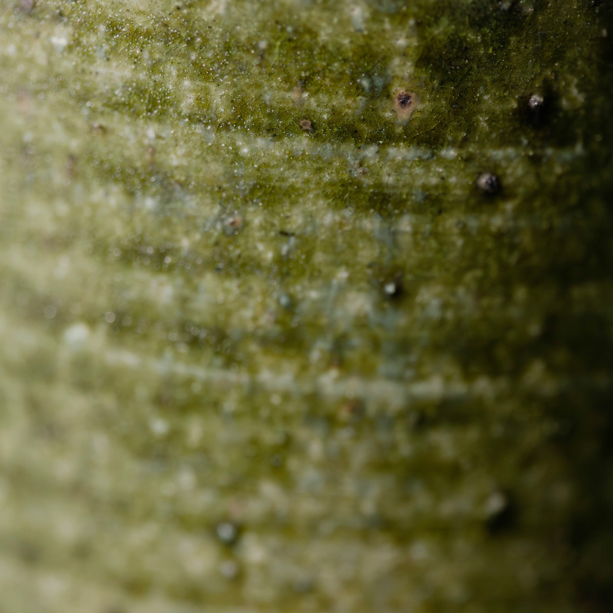 Wheel Thrown Mug No.79/25 - huba.studio