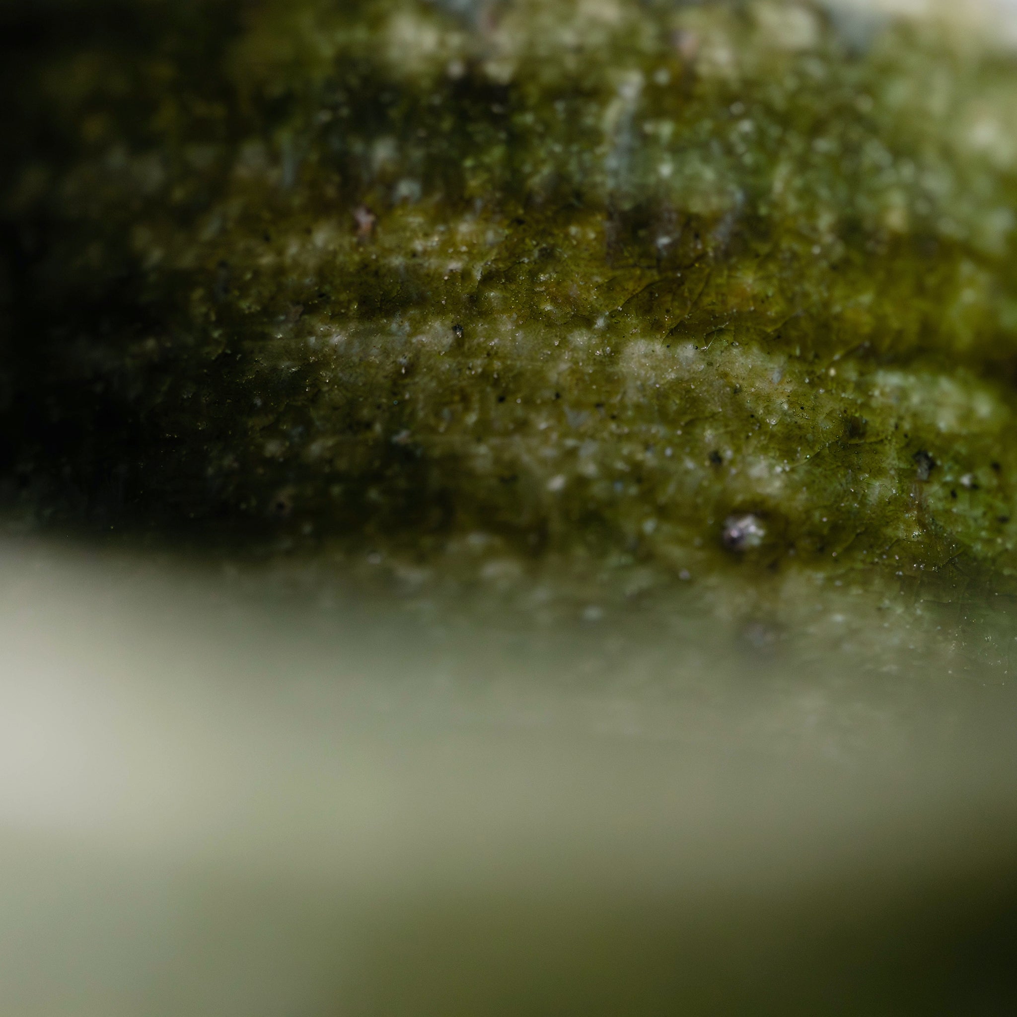 Wheel Thrown Mug No.79/25 - huba.studio