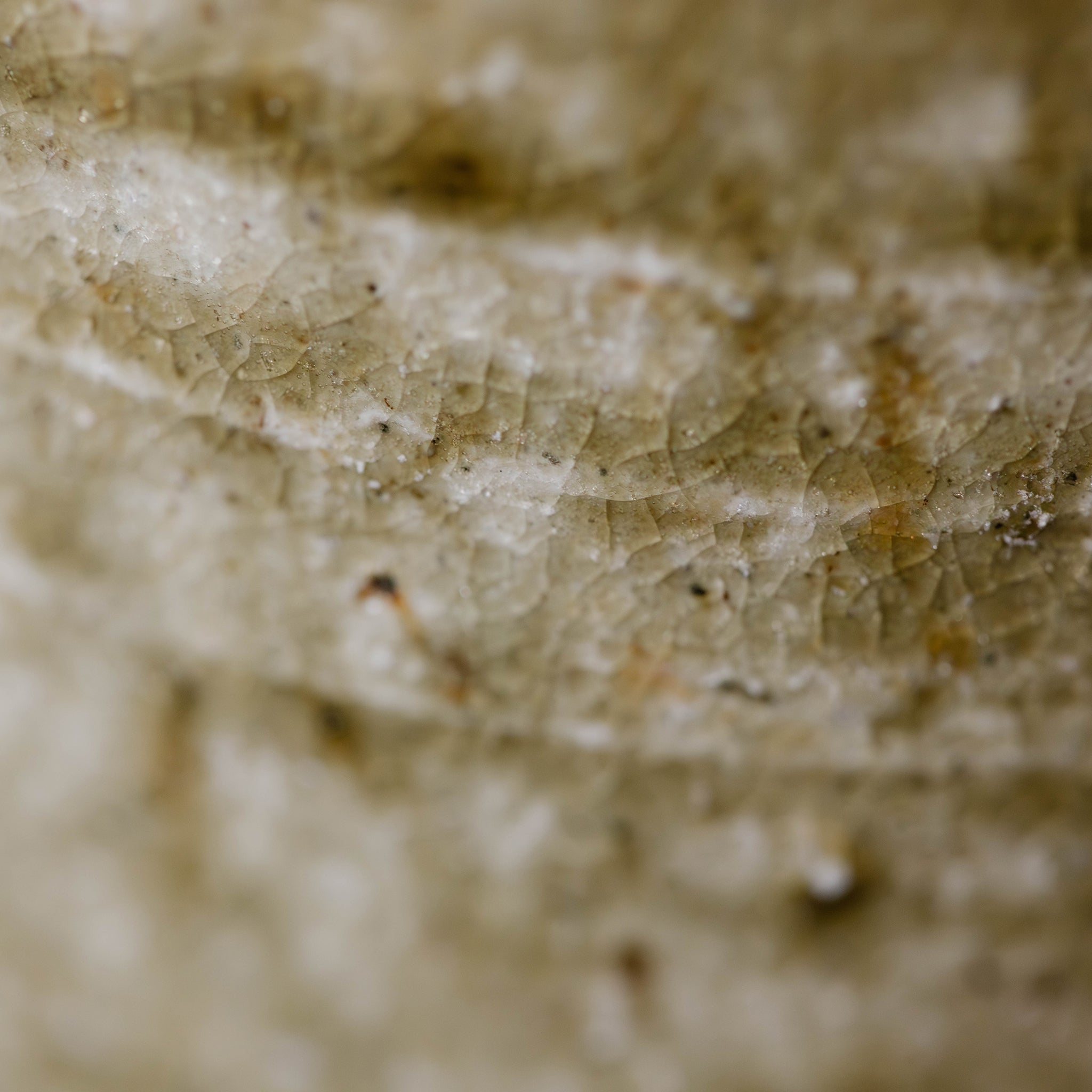 Wheel Thrown Mug No.80/25 - huba.studio