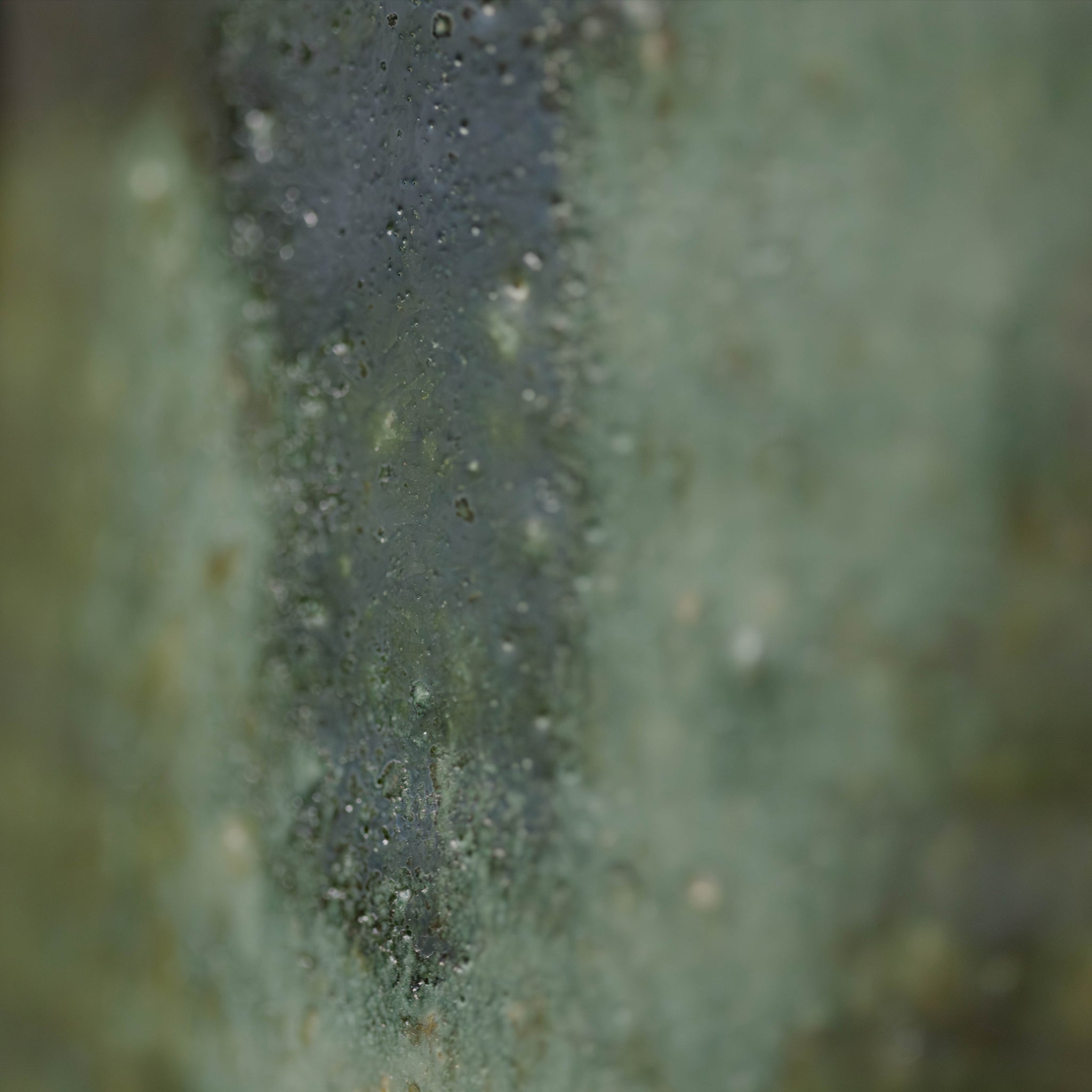 Wheel Thrown Teapot No.31/25 - huba.studio