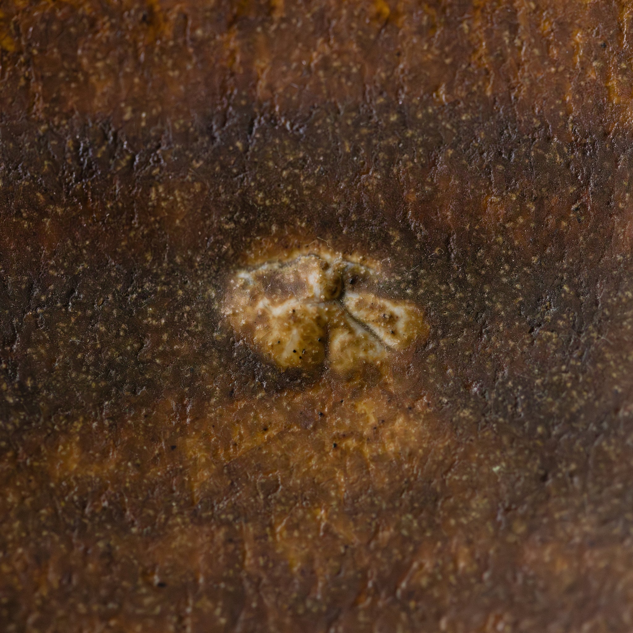 Wood - fired Large Bowl No.159/25 - huba.studio