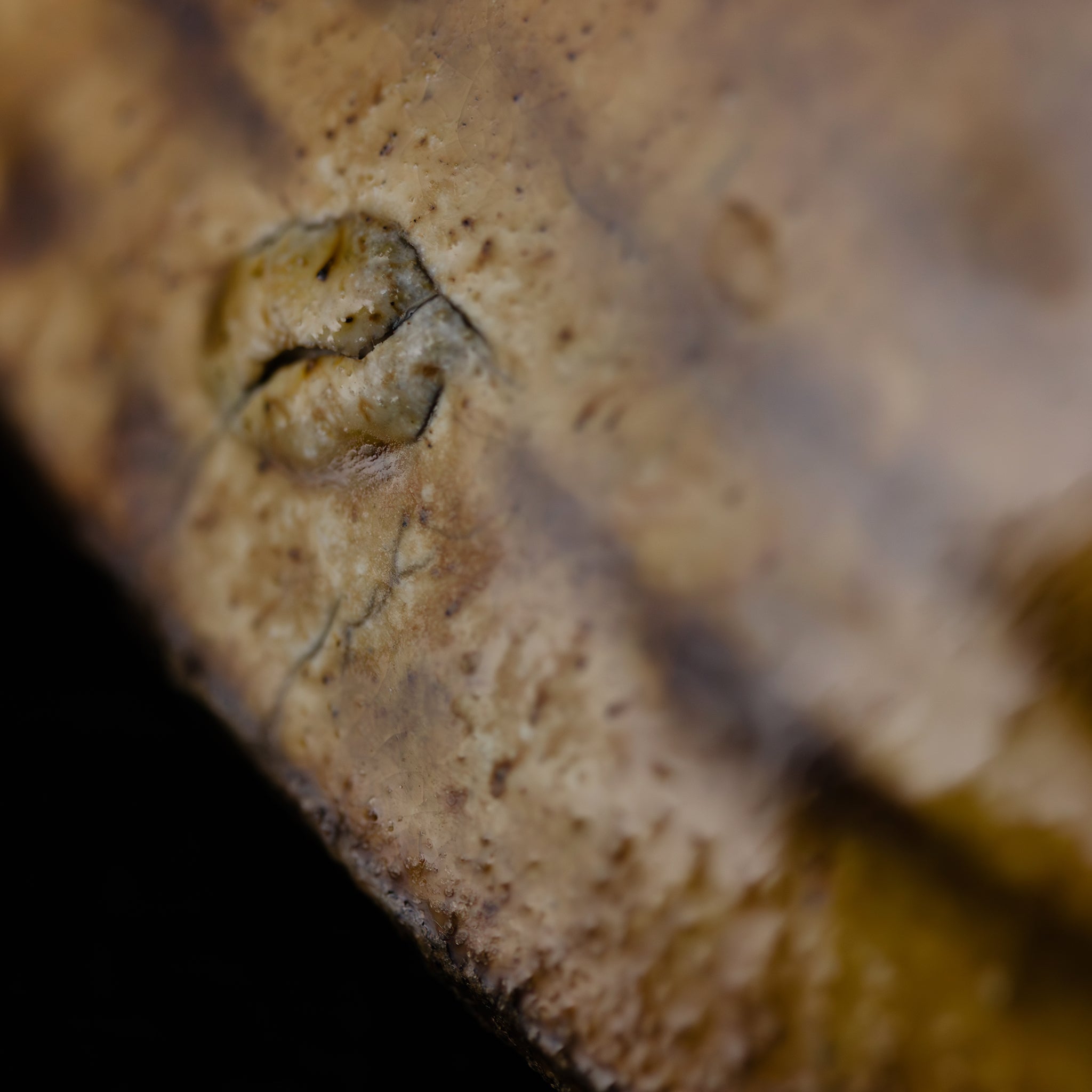 Wood - fired Large Bowl No.159/25 - huba.studio