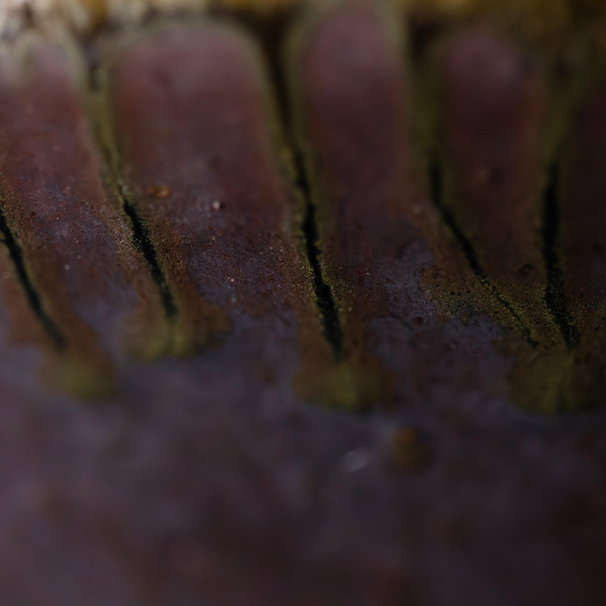 Wood - fired Large Bowl No.160/25 - huba.studio