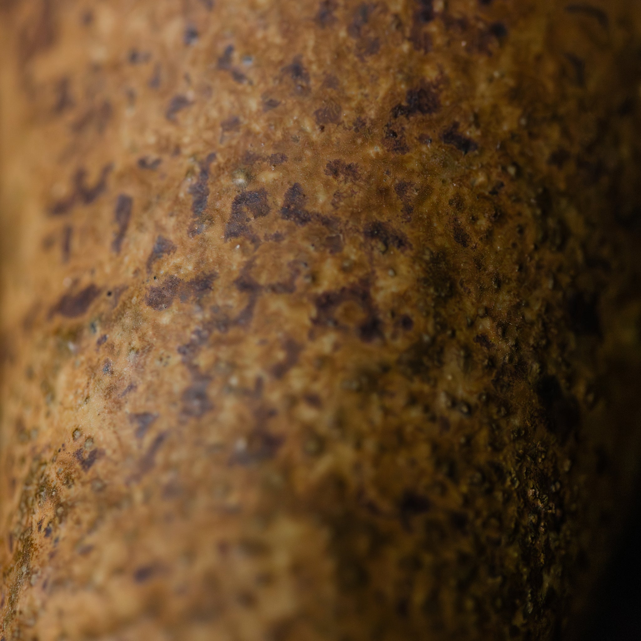 Wood - fired Slender Vase No.161/25 - huba.studio