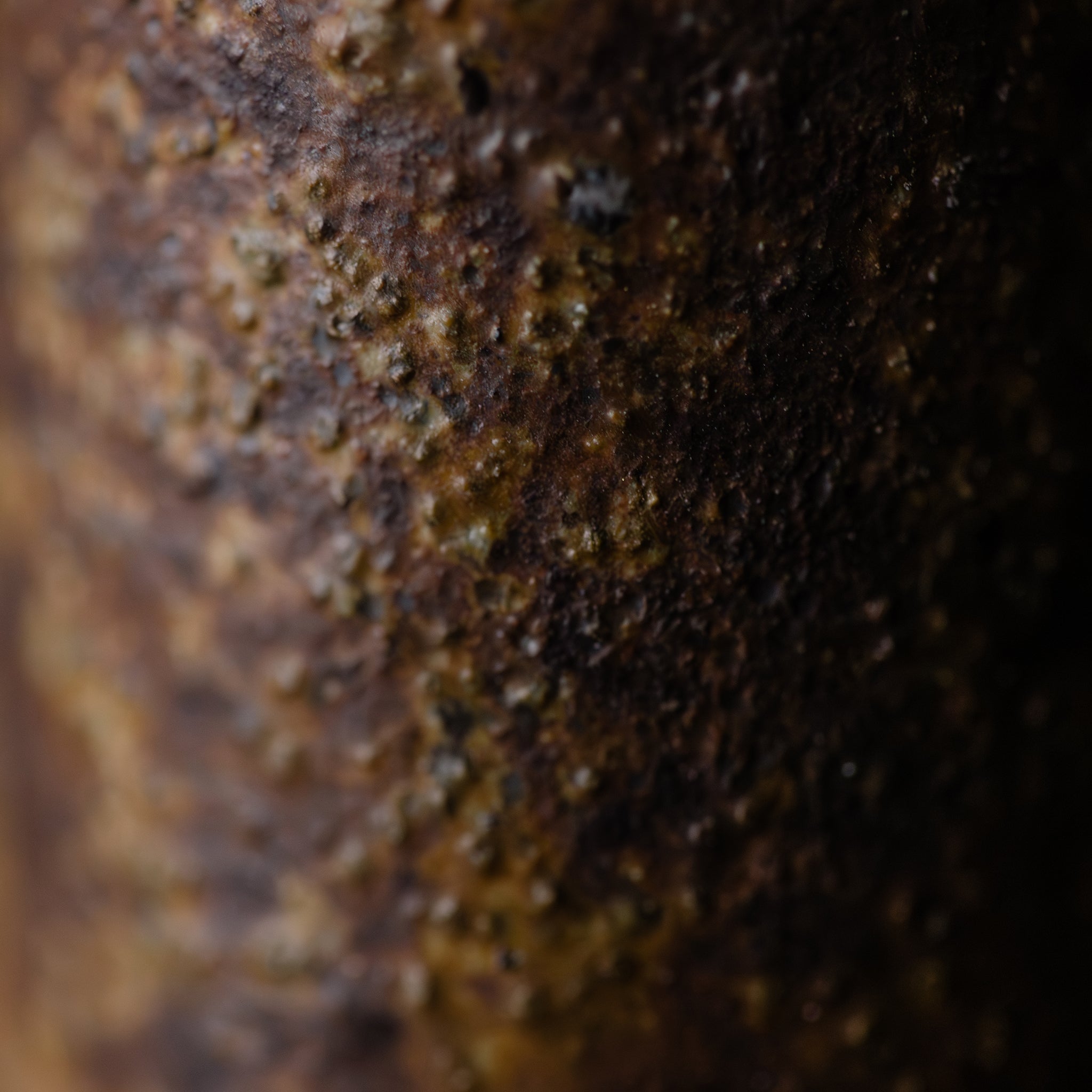 Wood - fired Slender Vase No.161/25 - huba.studio