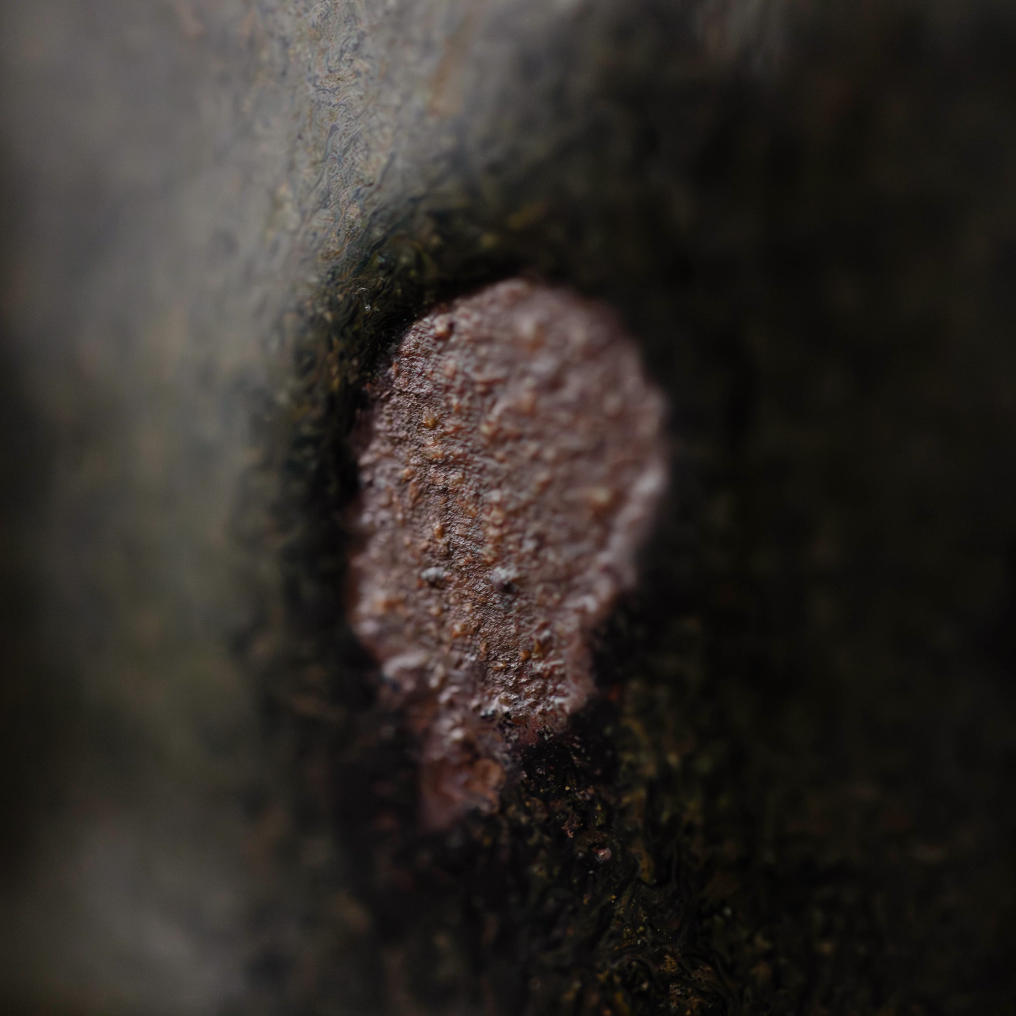 Wood - fired Tea Caddy No.144/25 - huba.studio