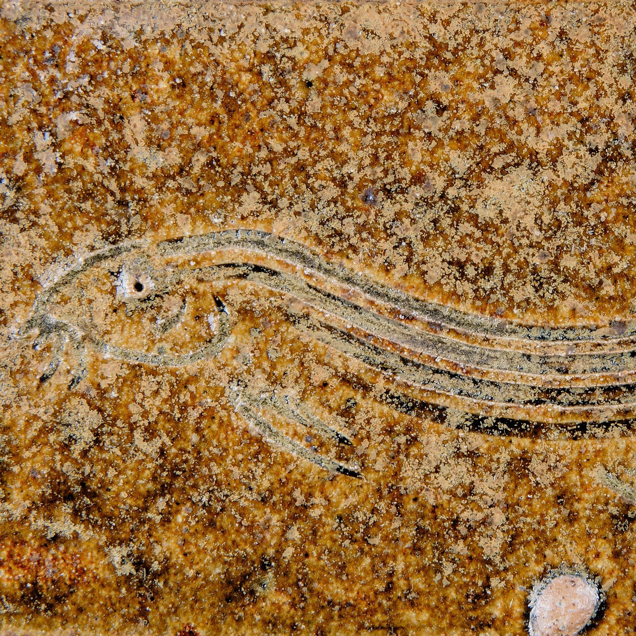 Box With a Fish Motif No.28/22 - huba.studio