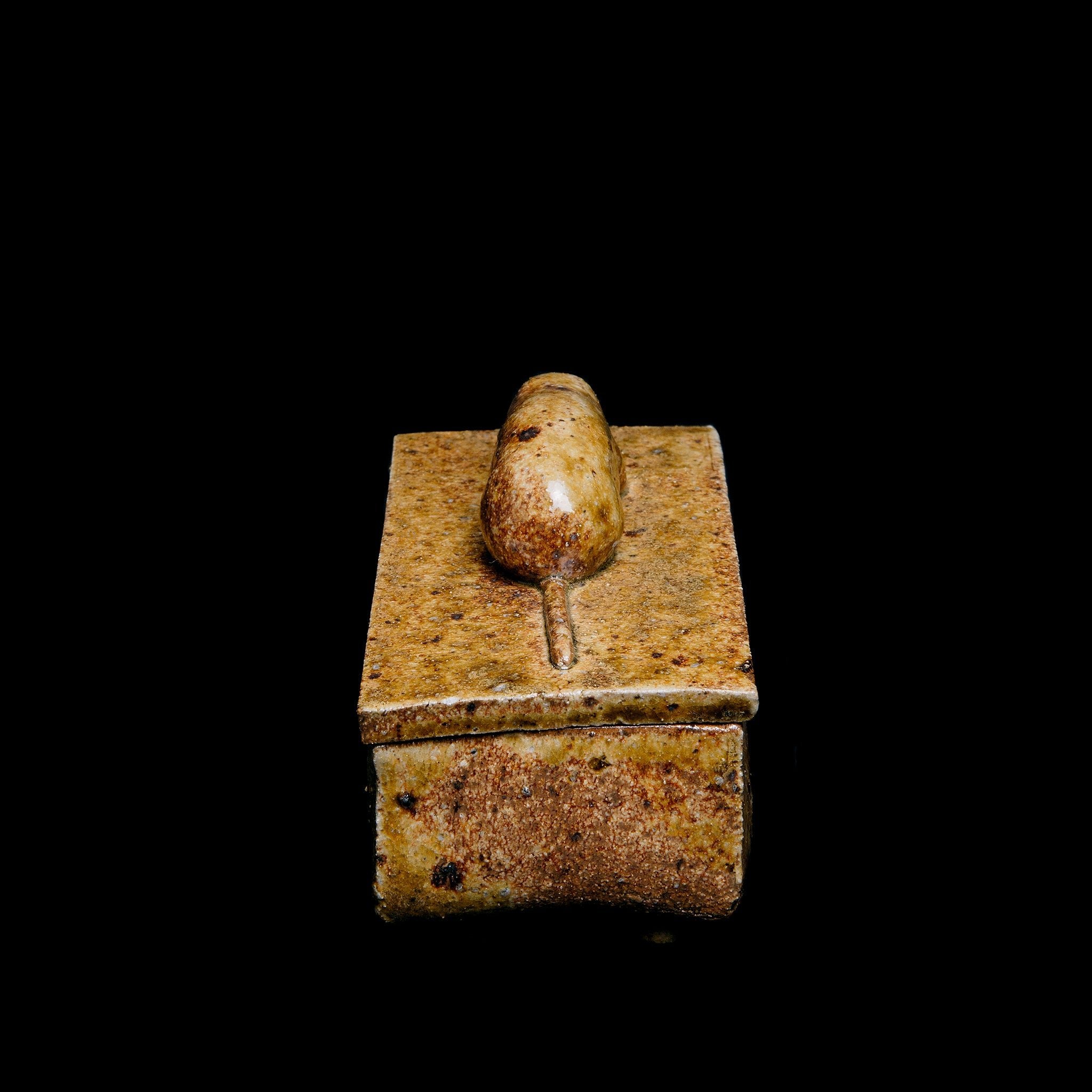 Box With a Shrew Motif No.25/22 - huba.studio