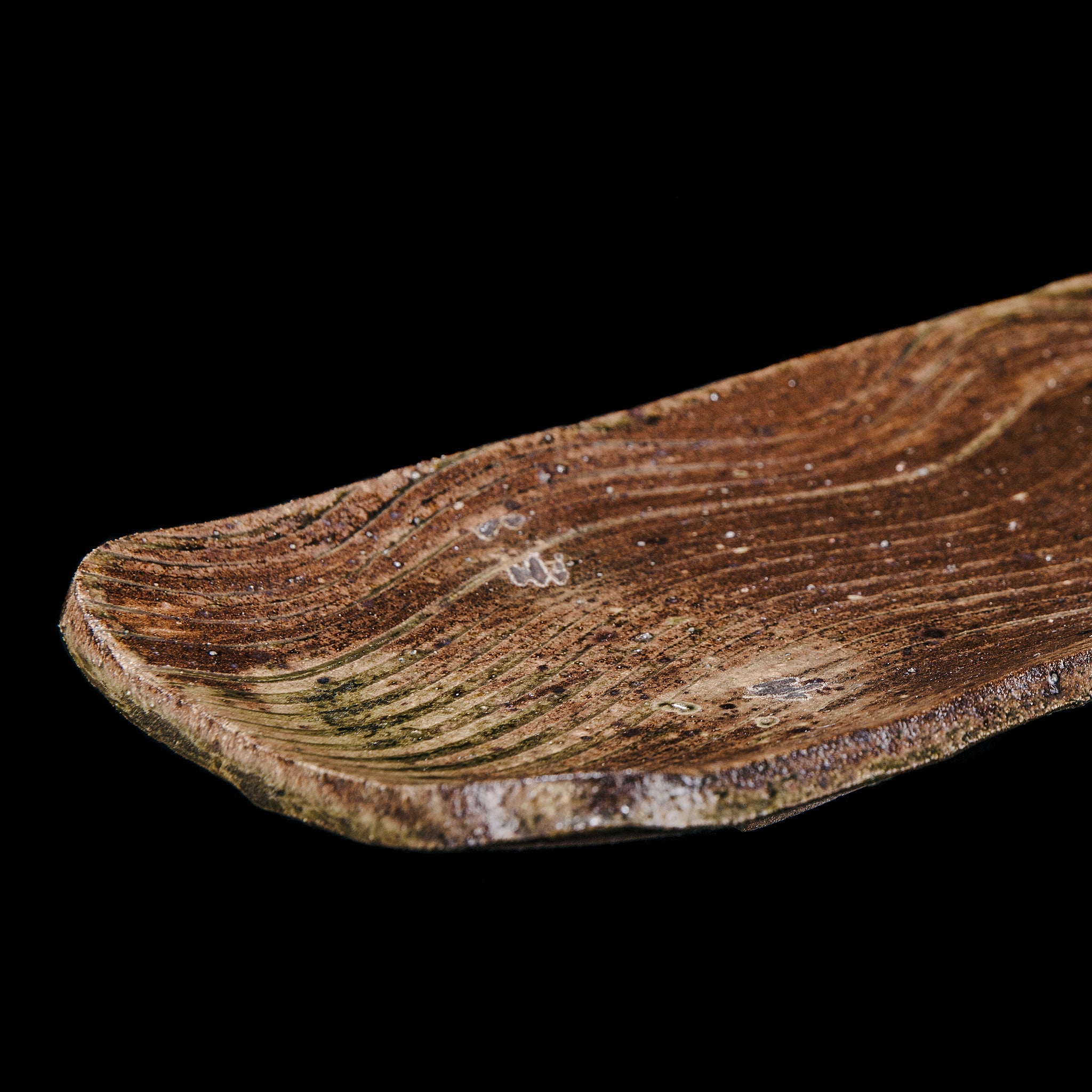 Dish No.59/22 - huba.studio